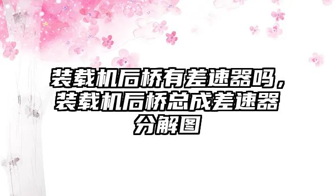 裝載機(jī)后橋有差速器嗎，裝載機(jī)后橋總成差速器分解圖