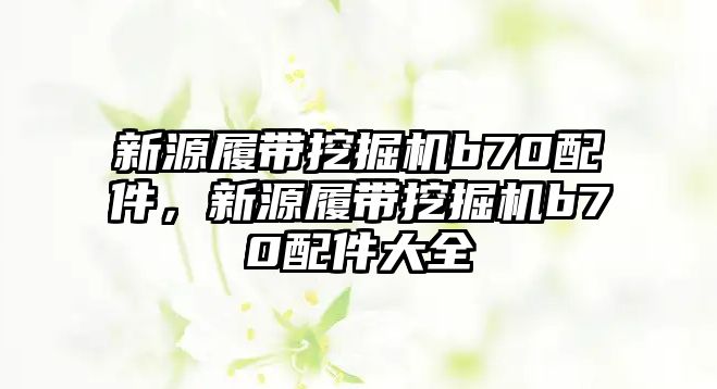 新源履帶挖掘機b70配件，新源履帶挖掘機b70配件大全