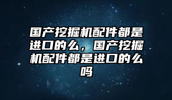 國產(chǎn)挖掘機配件都是進口的么，國產(chǎn)挖掘機配件都是進口的么嗎