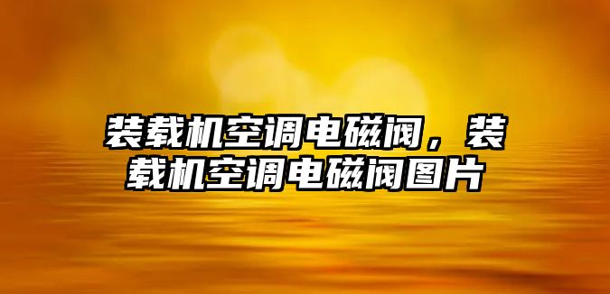 裝載機(jī)空調(diào)電磁閥，裝載機(jī)空調(diào)電磁閥圖片