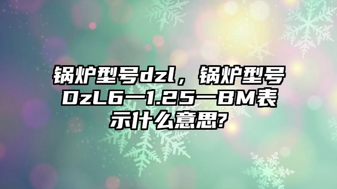 鍋爐型號dzl，鍋爐型號DzL6一1.25一BM表示什么意思?