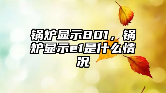 鍋爐顯示801，鍋爐顯示e1是什么情況