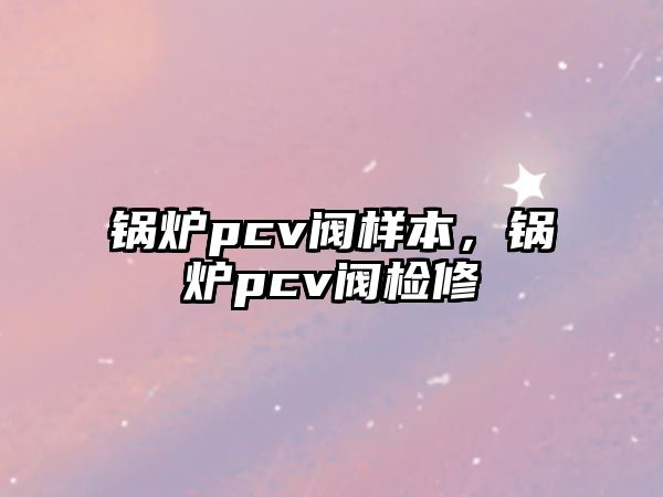 鍋爐pcv閥樣本，鍋爐pcv閥檢修