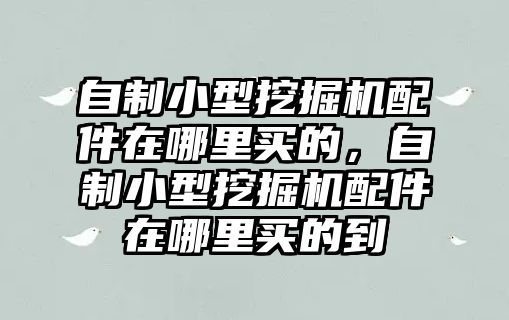 自制小型挖掘機配件在哪里買的，自制小型挖掘機配件在哪里買的到