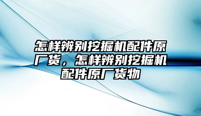 怎樣辨別挖掘機配件原廠貨，怎樣辨別挖掘機配件原廠貨物