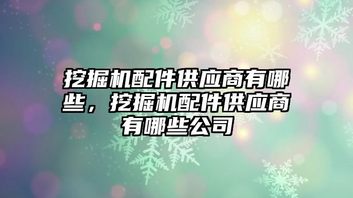 挖掘機配件供應(yīng)商有哪些，挖掘機配件供應(yīng)商有哪些公司