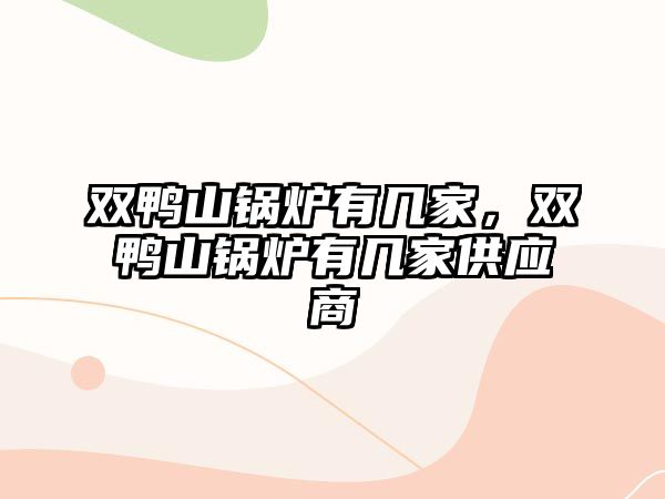 雙鴨山鍋爐有幾家，雙鴨山鍋爐有幾家供應(yīng)商