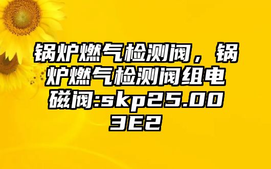 鍋爐燃?xì)鈾z測閥，鍋爐燃?xì)鈾z測閥組電磁閥:skp25.003E2