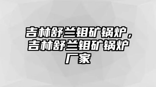 吉林舒蘭鉬礦鍋爐，吉林舒蘭鉬礦鍋爐廠家