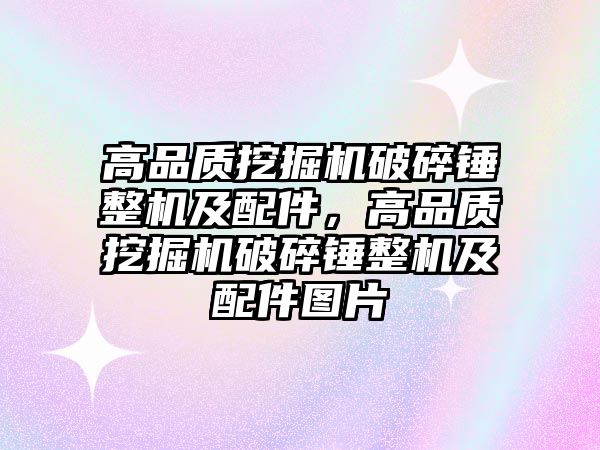 高品質(zhì)挖掘機破碎錘整機及配件，高品質(zhì)挖掘機破碎錘整機及配件圖片