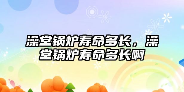 澡堂鍋爐壽命多長，澡堂鍋爐壽命多長啊