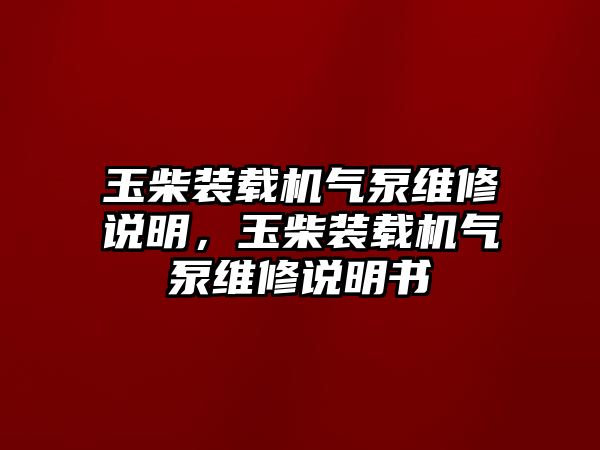 玉柴裝載機氣泵維修說明，玉柴裝載機氣泵維修說明書