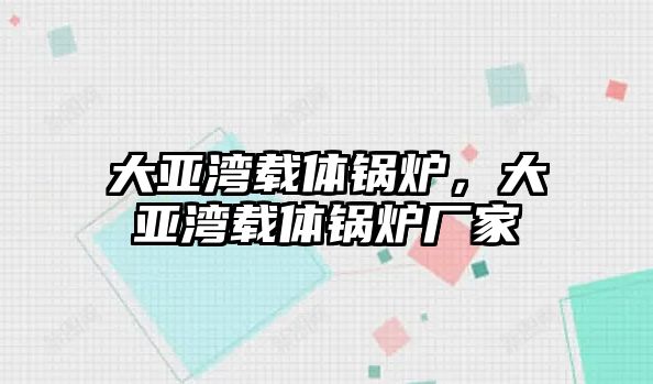 大亞灣載體鍋爐，大亞灣載體鍋爐廠家