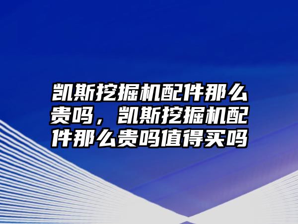 凱斯挖掘機(jī)配件那么貴嗎，凱斯挖掘機(jī)配件那么貴嗎值得買嗎