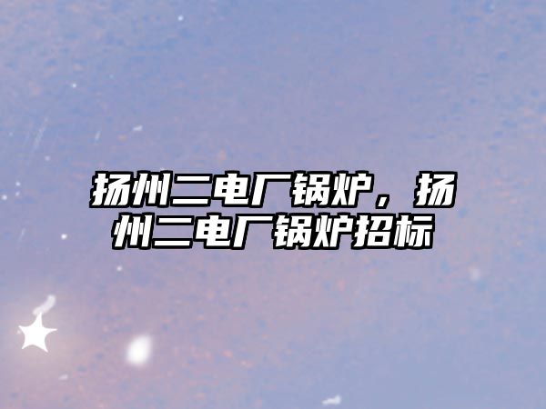 揚州二電廠鍋爐，揚州二電廠鍋爐招標(biāo)