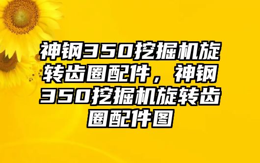 神鋼350挖掘機(jī)旋轉(zhuǎn)齒圈配件，神鋼350挖掘機(jī)旋轉(zhuǎn)齒圈配件圖