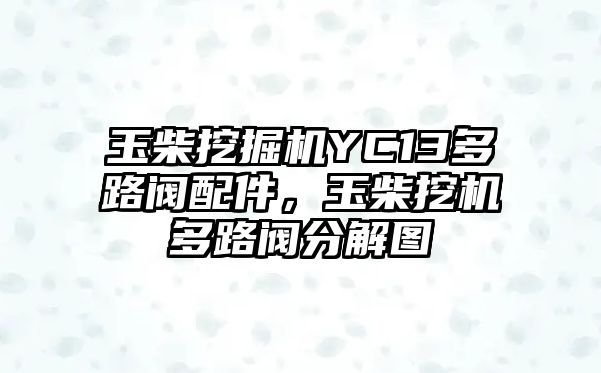 玉柴挖掘機YC13多路閥配件，玉柴挖機多路閥分解圖