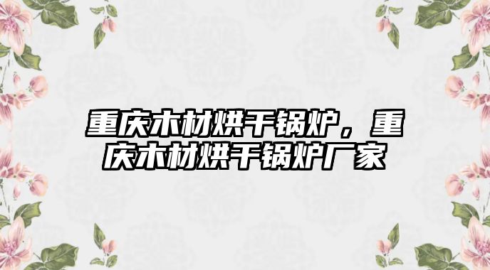 重慶木材烘干鍋爐，重慶木材烘干鍋爐廠家