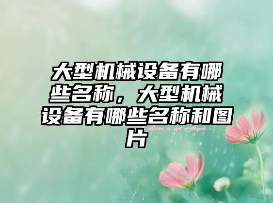 大型機械設(shè)備有哪些名稱，大型機械設(shè)備有哪些名稱和圖片