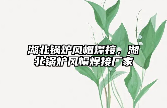 湖北鍋爐風(fēng)帽焊接，湖北鍋爐風(fēng)帽焊接廠家