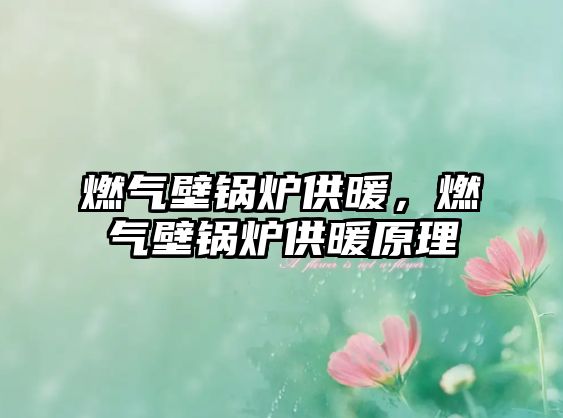 燃?xì)獗阱仩t供暖，燃?xì)獗阱仩t供暖原理