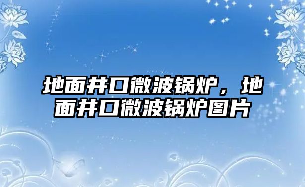 地面井口微波鍋爐，地面井口微波鍋爐圖片