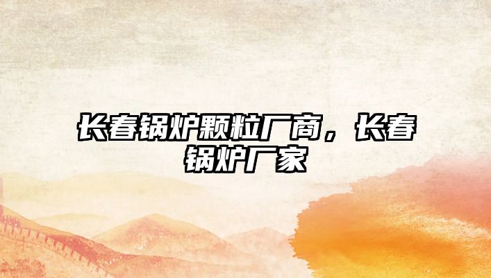 長(zhǎng)春鍋爐顆粒廠商，長(zhǎng)春鍋爐廠家