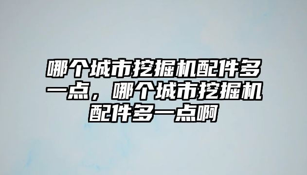 哪個城市挖掘機配件多一點，哪個城市挖掘機配件多一點啊