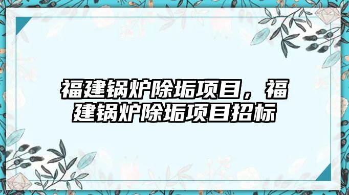 福建鍋爐除垢項目，福建鍋爐除垢項目招標