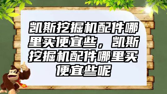 凱斯挖掘機配件哪里買便宜些，凱斯挖掘機配件哪里買便宜些呢