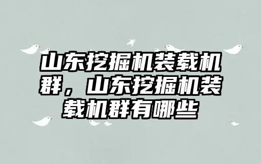 山東挖掘機(jī)裝載機(jī)群，山東挖掘機(jī)裝載機(jī)群有哪些