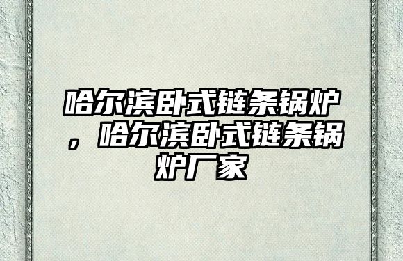 哈爾濱臥式鏈條鍋爐，哈爾濱臥式鏈條鍋爐廠家