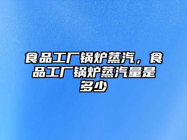 食品工廠鍋爐蒸汽，食品工廠鍋爐蒸汽量是多少