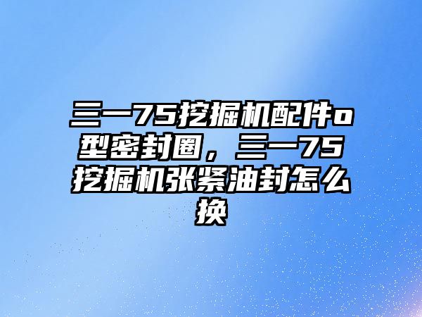 三一75挖掘機配件o型密封圈，三一75挖掘機張緊油封怎么換