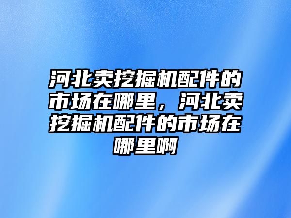 河北賣挖掘機(jī)配件的市場在哪里，河北賣挖掘機(jī)配件的市場在哪里啊