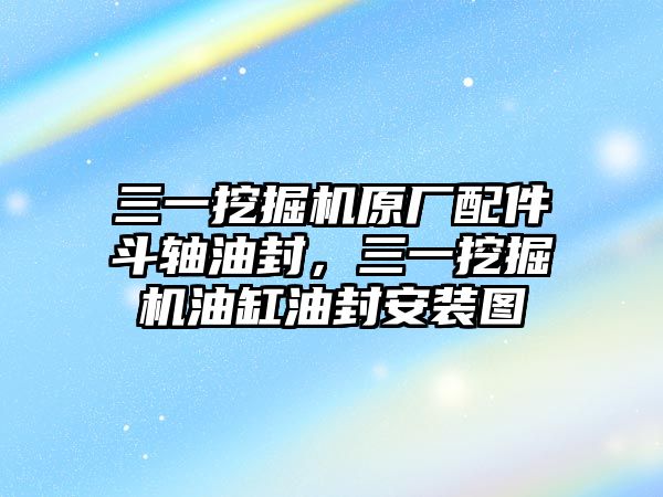 三一挖掘機(jī)原廠配件斗軸油封，三一挖掘機(jī)油缸油封安裝圖