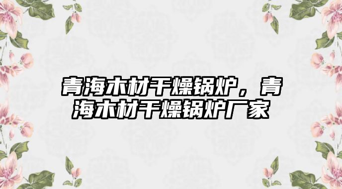 青海木材干燥鍋爐，青海木材干燥鍋爐廠家