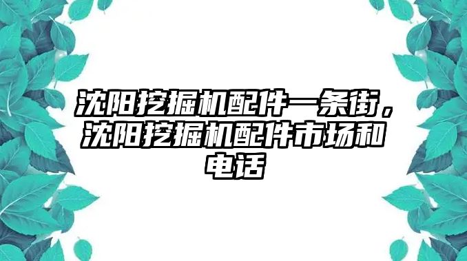 沈陽挖掘機配件一條街，沈陽挖掘機配件市場和電話