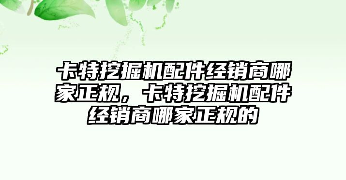 卡特挖掘機(jī)配件經(jīng)銷商哪家正規(guī)，卡特挖掘機(jī)配件經(jīng)銷商哪家正規(guī)的