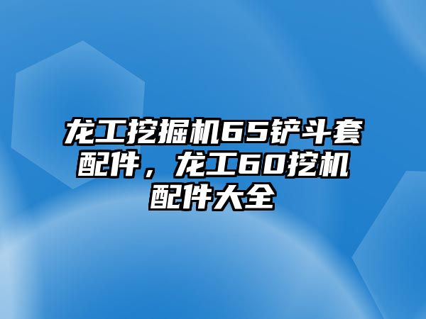 龍工挖掘機(jī)65鏟斗套配件，龍工60挖機(jī)配件大全