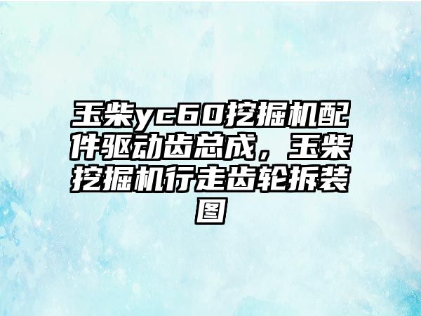 玉柴yc60挖掘機配件驅(qū)動齒總成，玉柴挖掘機行走齒輪拆裝圖