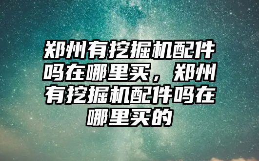 鄭州有挖掘機(jī)配件嗎在哪里買，鄭州有挖掘機(jī)配件嗎在哪里買的