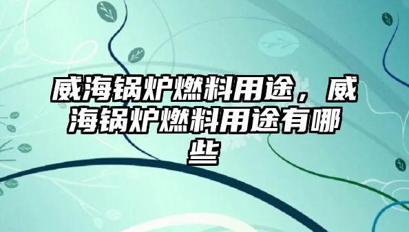 威海鍋爐燃料用途，威海鍋爐燃料用途有哪些