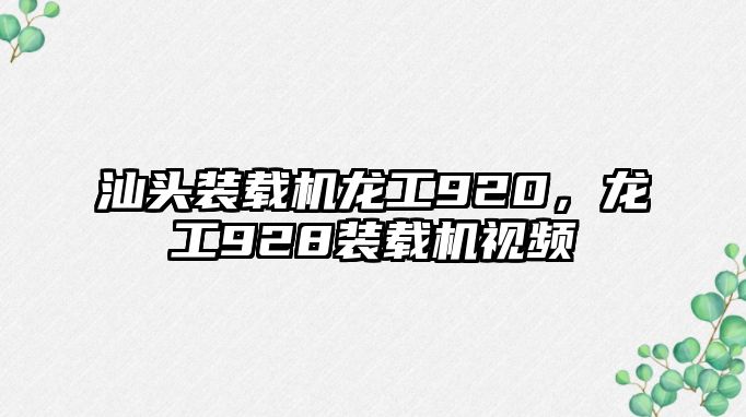 汕頭裝載機龍工920，龍工928裝載機視頻