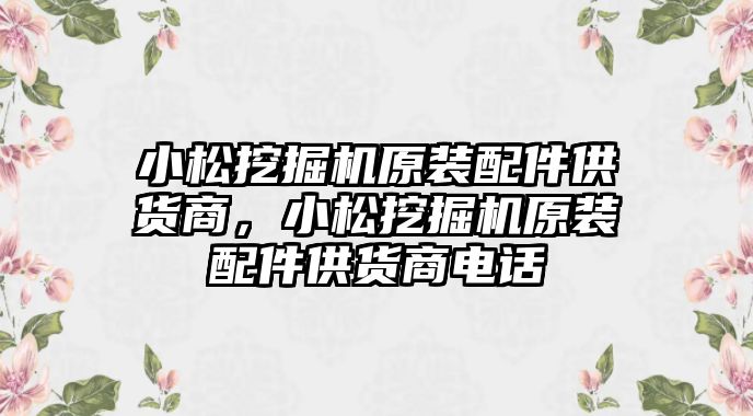 小松挖掘機(jī)原裝配件供貨商，小松挖掘機(jī)原裝配件供貨商電話