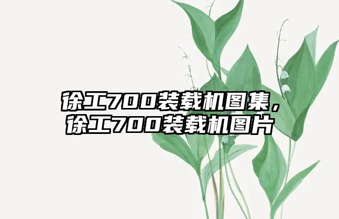 徐工700裝載機圖集，徐工700裝載機圖片