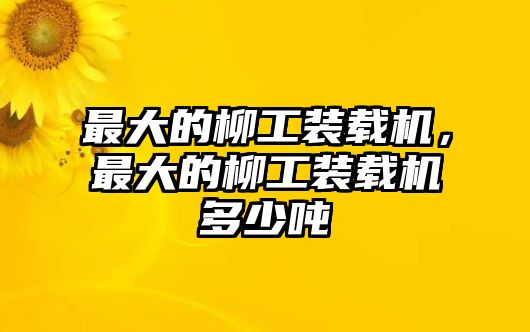 最大的柳工裝載機，最大的柳工裝載機多少噸