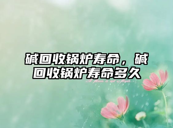 堿回收鍋爐壽命，堿回收鍋爐壽命多久