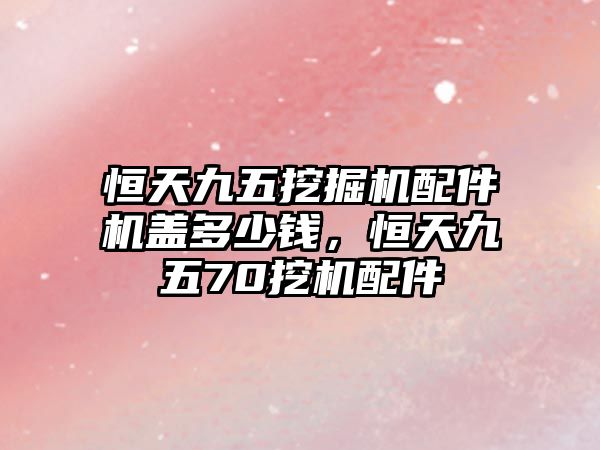 恒天九五挖掘機(jī)配件機(jī)蓋多少錢，恒天九五70挖機(jī)配件