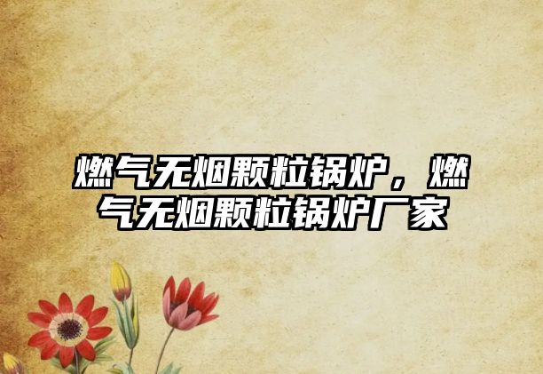 燃?xì)鉄o(wú)煙顆粒鍋爐，燃?xì)鉄o(wú)煙顆粒鍋爐廠家